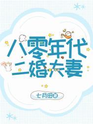 八零年代二婚妻阅读