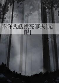 不许觊觎漂亮寡夫[无限