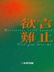 欲言难止简介