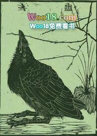 空壳村