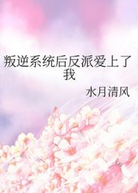 反叛系统孙小圣txt