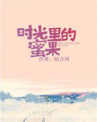 时光里的蜜果晋江