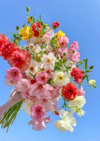 兄妹骨科静等花开