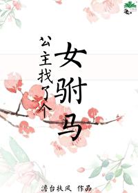 公主找了个女驸马的电视剧