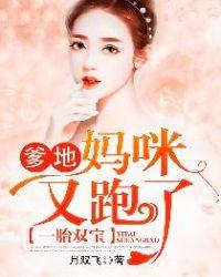 一胎两宝爹地妈咪要跑