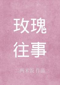 玫瑰往事电视剧百科