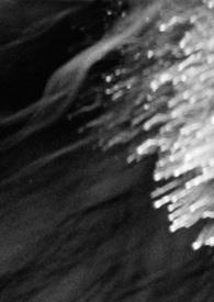 嫡女替嫁痴傻太子夜夜宠