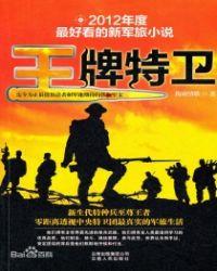 王牌特卫2 梅雨情歌