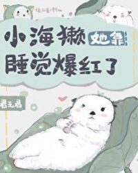 小海獭她靠睡觉爆红了15