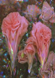 强制性成长的幼儿园