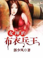 女神的布衣兵王TXT
