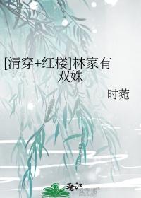清穿+红楼林家小爷免费阅读