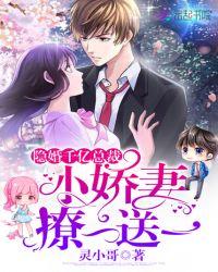 隐婚总裁甜哭了