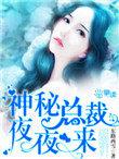 神秘总裁夜夜来 第2章