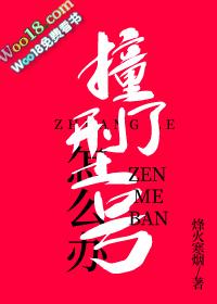 撞了型号怎么办格格党