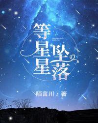 等星星坠落陌言川晋江