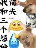 我和三个怨种前夫作者妤芋