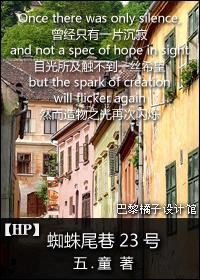 hp蜘蛛尾巷的安妮