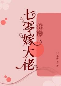 七零嫁大佬指南叶欢免费