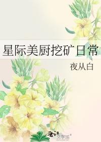 星际美食日常免费阅读