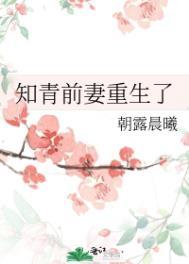 知青前妻重生了百度