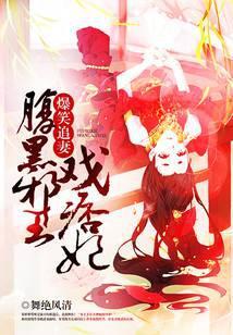 爆笑穿越腹黑王爷追萌妻