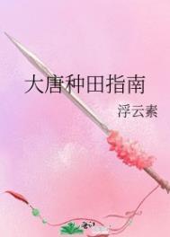 大唐开局种田