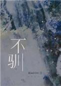 不驯之敌讲了什么