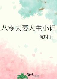 八零夫妻人生小记txt电子书
