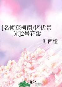 名侦探柯南2号人物