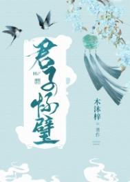 君子怀璧其罪