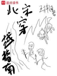 北宋穿越指南 笔趣阁