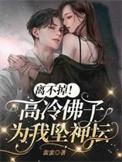 离不掉高冷佛子为我坠神坛百度