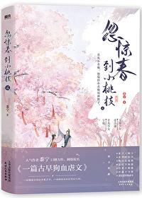 一篇古早狗血虐文实体书