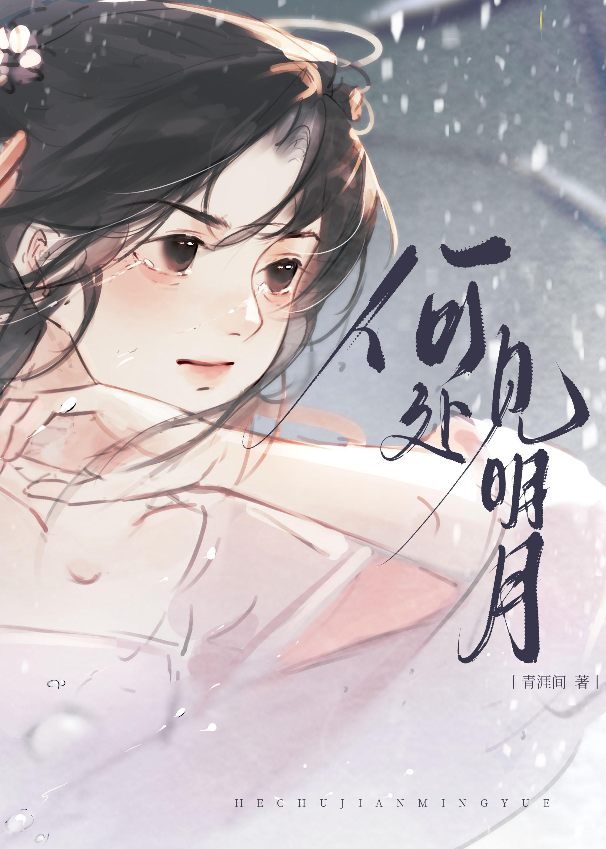 明月何处不相逢下一句