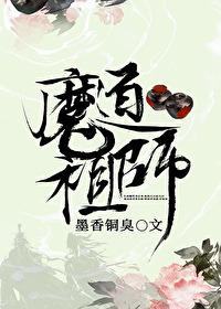 魔道祖师第一季在线观看完整版