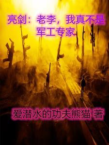 老李轻点亮剑