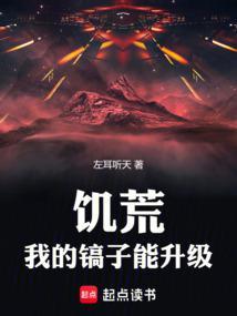 饥荒,我的镐子能升级