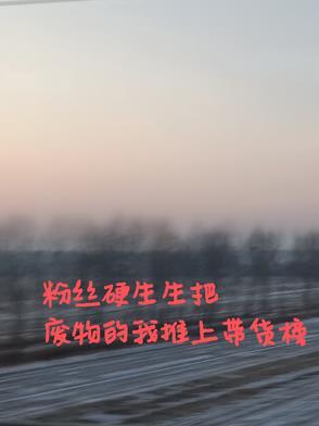 粉丝硬生生把废物的我推上带货榜